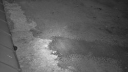 Nástup na běžecké tratě