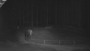 SkiAreál - Horský hotel Vsacký Cáb - Nástup na běžecké tratě - 12.3.2026 v 02:30 SkiAreál - Horský hotel Vsacký Cáb - Nástup na běžecké tratě - 12.3.2026 v 02:30