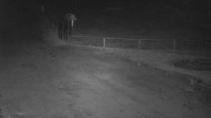 SkiAreál - Horský hotel Vsacký Cáb - Nástup na běžecké tratě - 12.3.2026 v 04:00 SkiAreál - Horský hotel Vsacký Cáb - Nástup na běžecké tratě - 12.3.2026 v 04:00