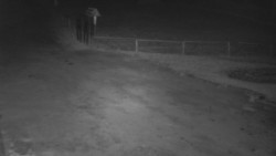 Nástup na běžecké tratě