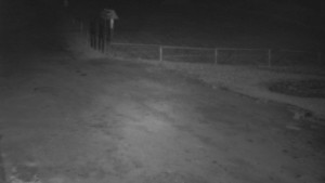 SkiAreál - Horský hotel Vsacký Cáb - Nástup na běžecké tratě - 12.3.2026 v 04:15 SkiAreál - Horský hotel Vsacký Cáb - Nástup na běžecké tratě - 12.3.2026 v 04:15