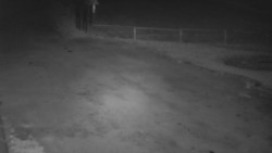 Nástup na běžecké tratě