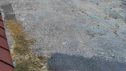 Nástup na běžecké tratě