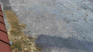 SkiAreál - Horský hotel Vsacký Cáb - Nástup na běžecké tratě - 12.3.2026 v 07:00 SkiAreál - Horský hotel Vsacký Cáb - Nástup na běžecké tratě - 12.3.2026 v 07:00