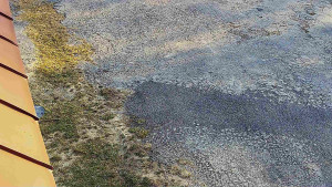 SkiAreál - Horský hotel Vsacký Cáb - Nástup na běžecké tratě - 12.3.2026 v 08:01 SkiAreál - Horský hotel Vsacký Cáb - Nástup na běžecké tratě - 12.3.2026 v 08:01