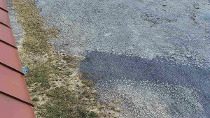 SkiAreál - Horský hotel Vsacký Cáb - Nástup na běžecké tratě - 12.3.2026 v 08:31 SkiAreál - Horský hotel Vsacký Cáb - Nástup na běžecké tratě - 12.3.2026 v 08:31