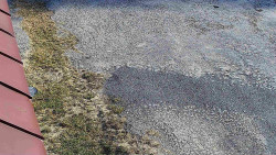 Nástup na běžecké tratě