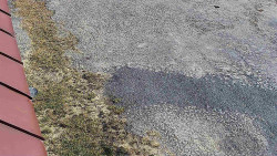 Nástup na běžecké tratě