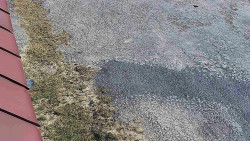 Nástup na běžecké tratě