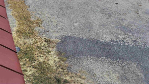 SkiAreál - Horský hotel Vsacký Cáb - Nástup na běžecké tratě - 12.3.2026 v 10:31 SkiAreál - Horský hotel Vsacký Cáb - Nástup na běžecké tratě - 12.3.2026 v 10:31