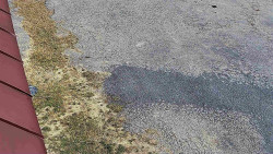 Nástup na běžecké tratě