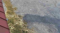 Nástup na běžecké tratě