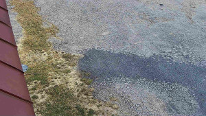 SkiAreál - Horský hotel Vsacký Cáb - Nástup na běžecké tratě - 12.3.2026 v 12:00 SkiAreál - Horský hotel Vsacký Cáb - Nástup na běžecké tratě - 12.3.2026 v 12:00