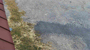 SkiAreál - Horský hotel Vsacký Cáb - Nástup na běžecké tratě - 12.3.2026 v 13:01 SkiAreál - Horský hotel Vsacký Cáb - Nástup na běžecké tratě - 12.3.2026 v 13:01