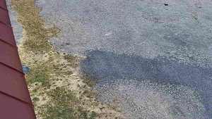 SkiAreál - Horský hotel Vsacký Cáb - Nástup na běžecké tratě - 12.3.2026 v 13:16 SkiAreál - Horský hotel Vsacký Cáb - Nástup na běžecké tratě - 12.3.2026 v 13:16