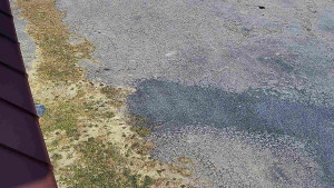 SkiAreál - Horský hotel Vsacký Cáb - Nástup na běžecké tratě - 12.3.2026 v 13:46 SkiAreál - Horský hotel Vsacký Cáb - Nástup na běžecké tratě - 12.3.2026 v 13:46