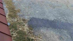 Nástup na běžecké tratě