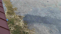 Nástup na běžecké tratě