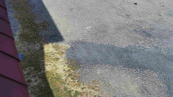 Nástup na běžecké tratě