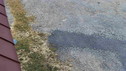 Nástup na běžecké tratě