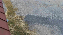 Nástup na běžecké tratě