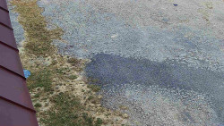 Nástup na běžecké tratě