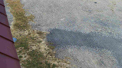 Nástup na běžecké tratě