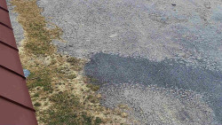 Nástup na běžecké tratě