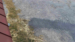 Nástup na běžecké tratě