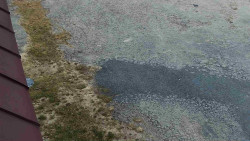 Nástup na běžecké tratě