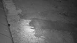 Nástup na běžecké tratě