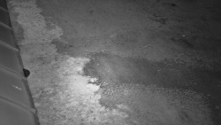 Nástup na běžecké tratě