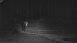 Nástup na běžecké tratě