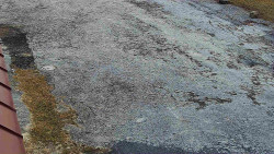 Nástup na běžecké tratě