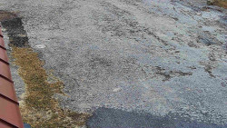 Nástup na běžecké tratě