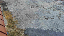 Nástup na běžecké tratě