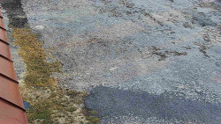 Nástup na běžecké tratě