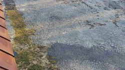 Nástup na běžecké tratě