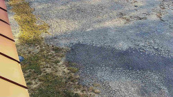 Nástup na běžecké tratě