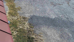 Nástup na běžecké tratě