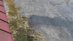 Nástup na běžecké tratě