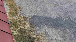 Nástup na běžecké tratě