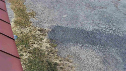 Nástup na běžecké tratě