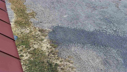 Nástup na běžecké tratě