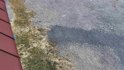 Nástup na běžecké tratě