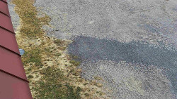 Nástup na běžecké tratě