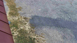 Nástup na běžecké tratě