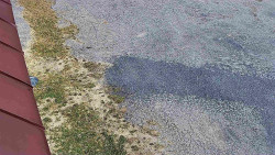 Nástup na běžecké tratě