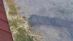 Nástup na běžecké tratě