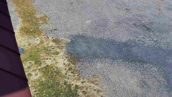 Nástup na běžecké tratě